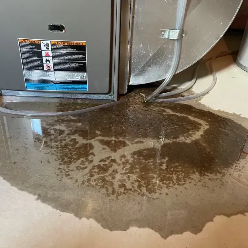 Appliance Leak Cleanup in Grosse Pointe Park, MI